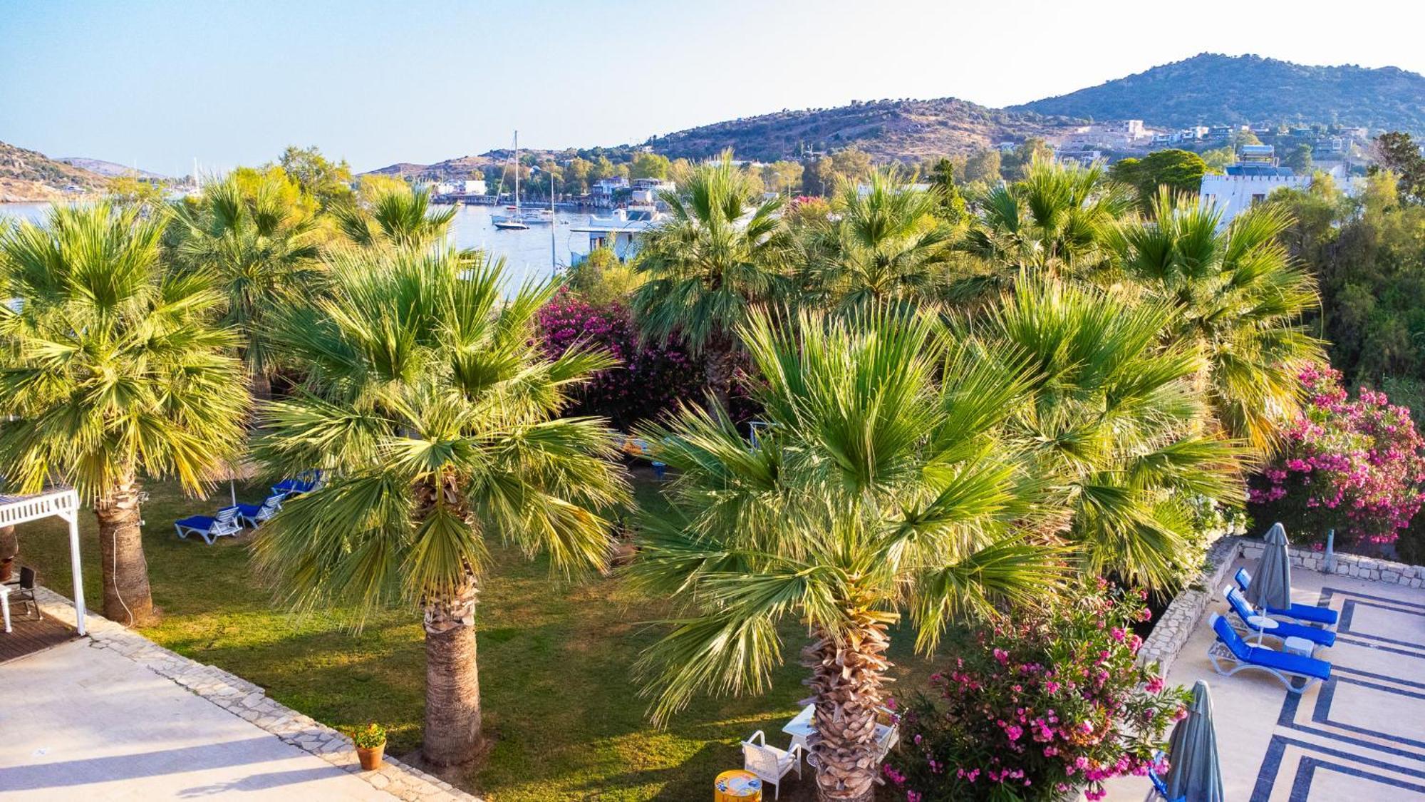 Ladonia Hotels Zemda Guemuesluek מראה חיצוני תמונה